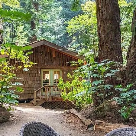 Magical Cabin Retreat In The Redwoods!!